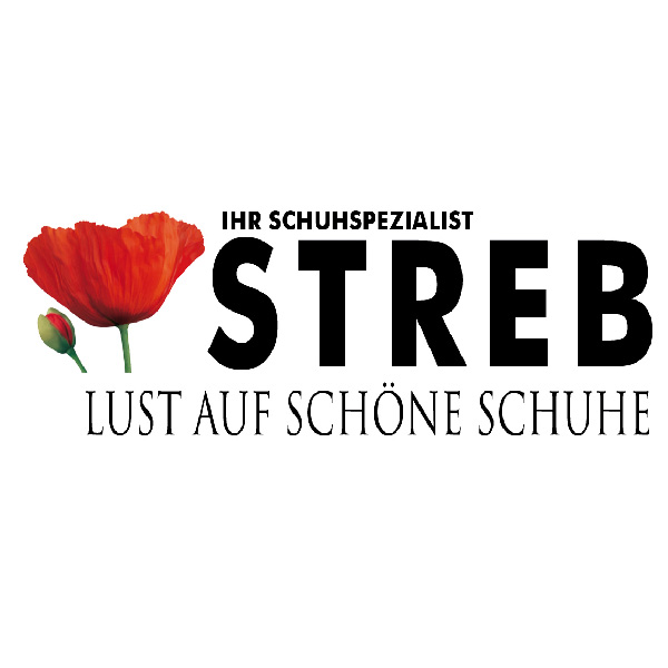Schuh Streb